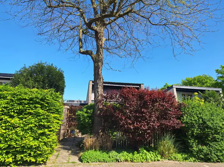 Foto Buizerdstraat 12 Leerdam