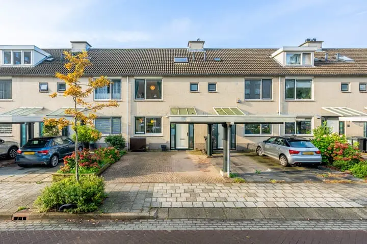 Foto Meerkoet 42 Diemen