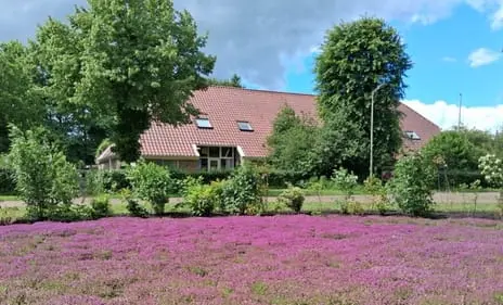 Foto Van Osstraat 2 7981CA Diever