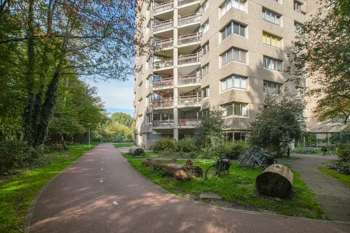 Foto Gouden Leeuw 807 Amsterdam
