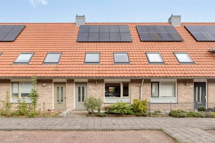 Foto Boekweitakker 10 Pijnacker