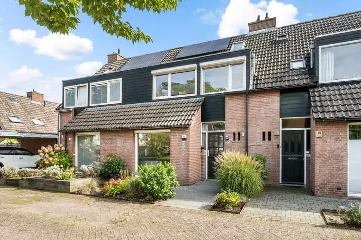 Foto Cichoreipad 16 Zwolle