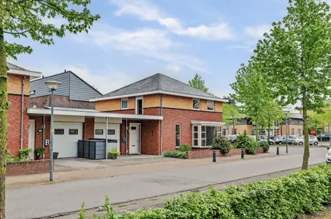 Foto Roodborstje 1 5531LM Bladel