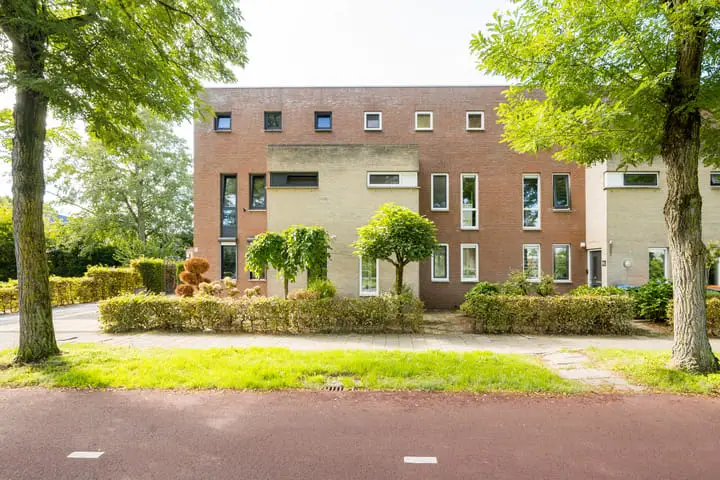Foto Blauwtjes 148 Breda