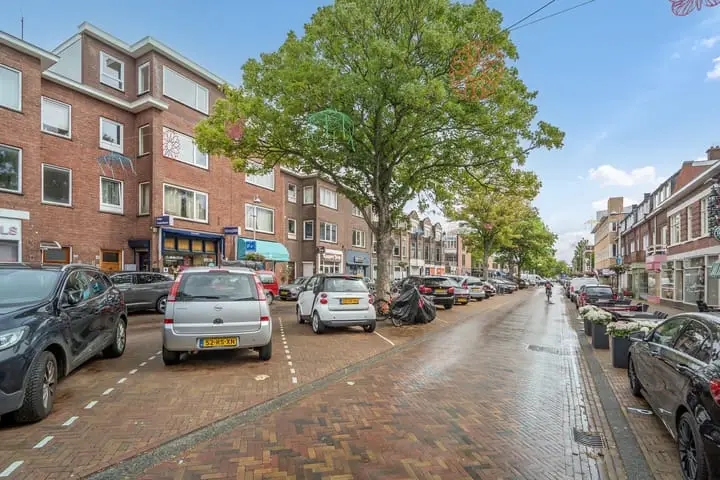 Foto Thomsonlaan 95 E Den Haag