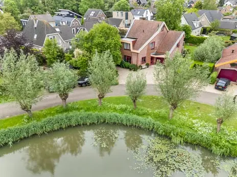 Foto Knobbelzwaan 2 3371JT Hardinxveld-Giessendam