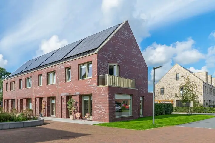 Foto Pijlkruid 15 Meerstad