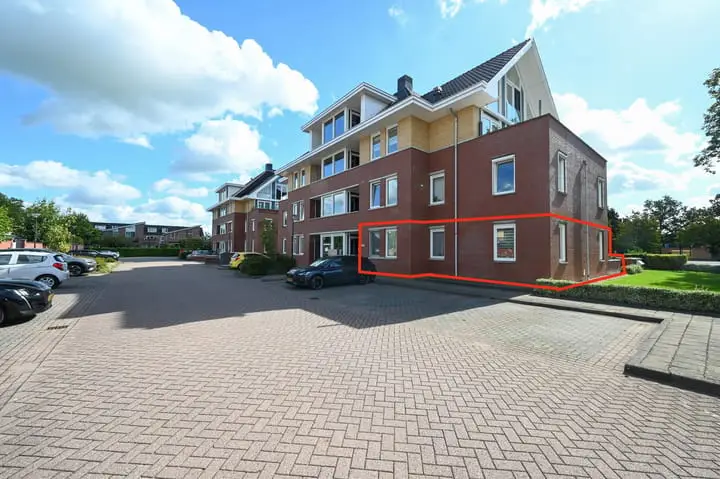 Foto Rietgans 1 Mijdrecht