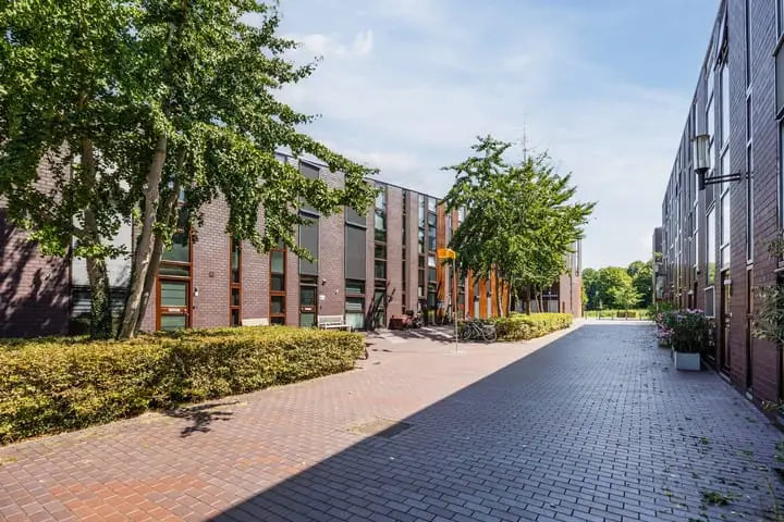 Foto Klokjesbloem 7 Papendrecht
