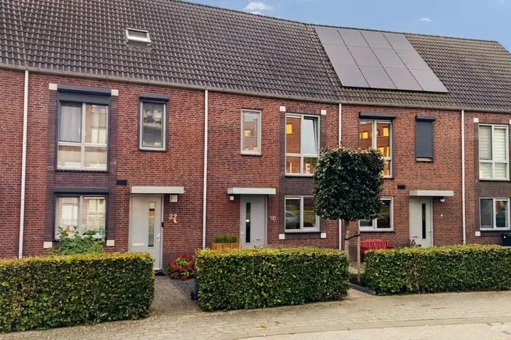Foto Op de Steen 30 Herten