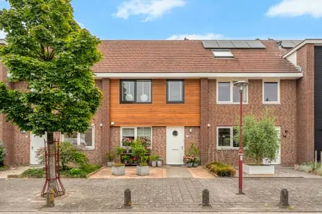 Foto Gele lis 12 3297WC Puttershoek