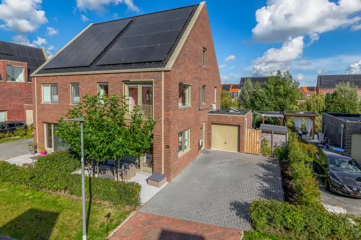 Foto Pijlkruid 20 Meerstad