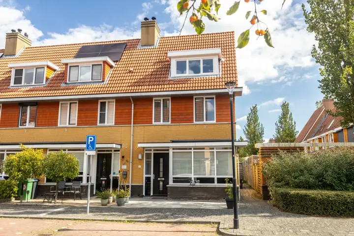 Foto Waterhoen 17 Amstelveen