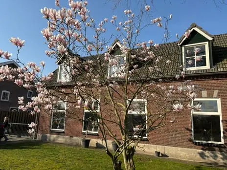 Foto Pastoor van Winkelstraat 63 5374BH Schaijk