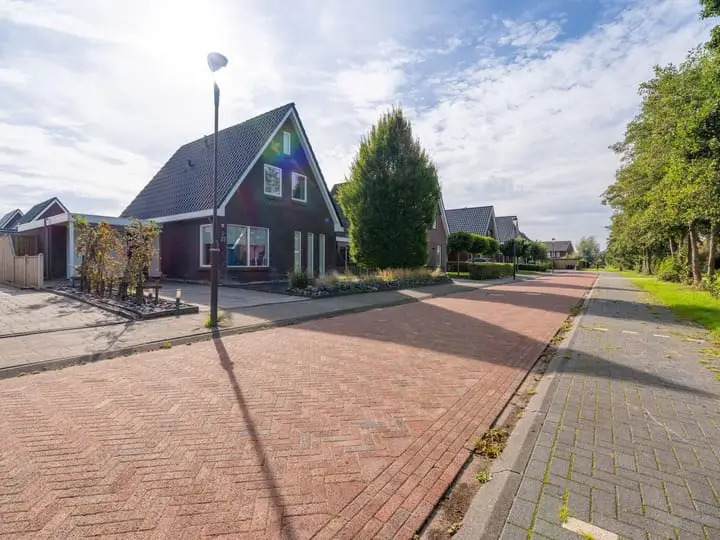Foto Paardenbloem 8 Drachten