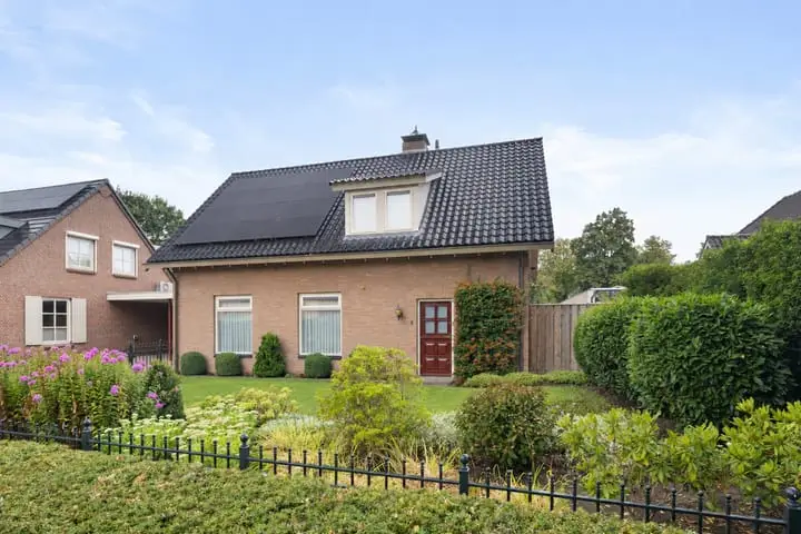 Foto Boekweitveld 3 Heeswijk-Dinther