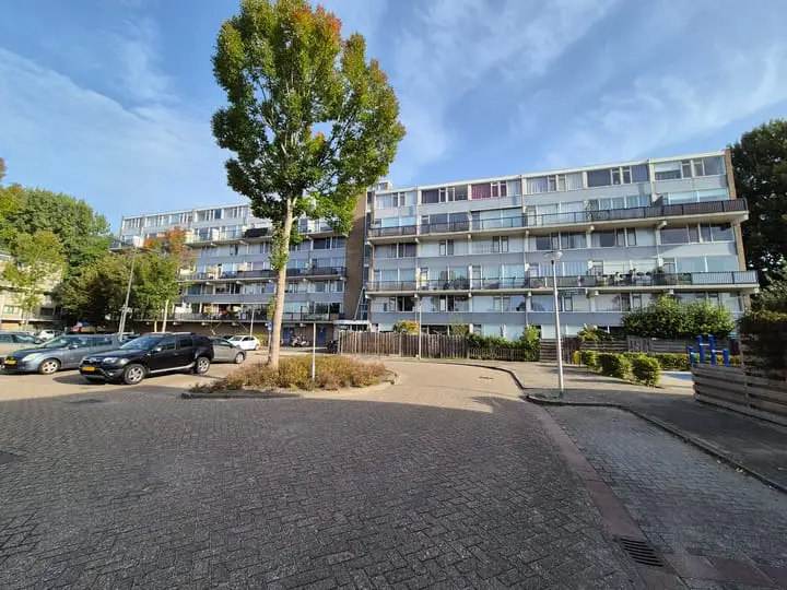 Foto Lauwers 188 Alphen aan den Rijn
