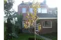 Foto Zilverstraat 7 4698AD Oud-Vossemeer