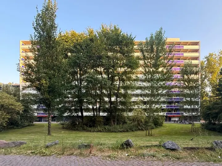 Foto Bergmolen 27 Amsterdam
