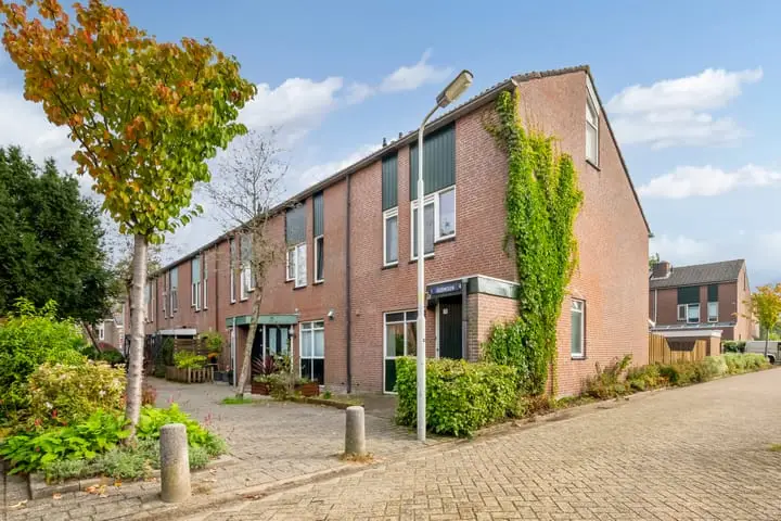 Foto Oliemolen 13 Koog aan de Zaan