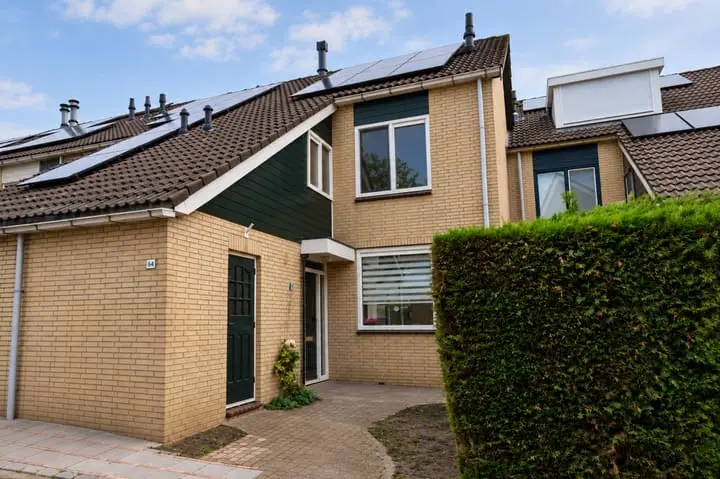 Foto Fazant 64 Ridderkerk