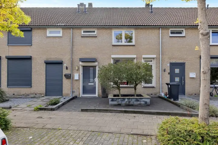Foto Roerdomp 50 Etten-Leur