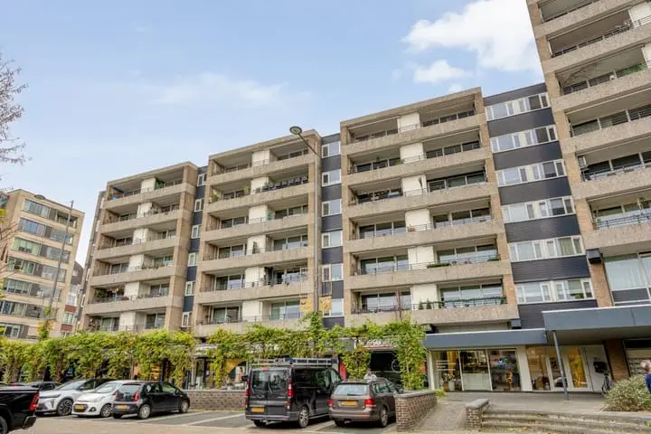 Foto Schapendries 96 Oosterhout