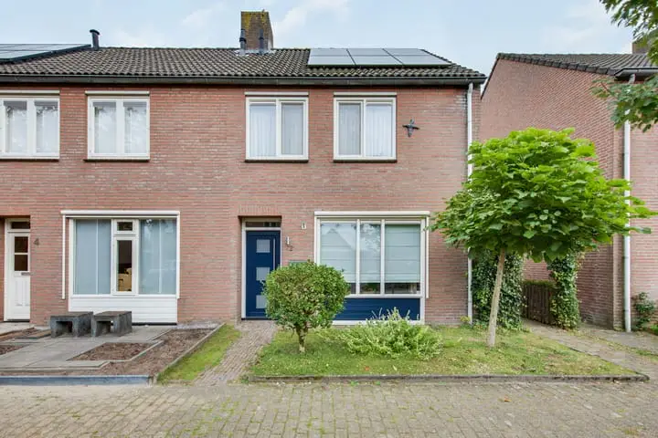 Foto Esdoorn 2 Oost West en Middelbeers