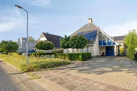 Foto Citroenvlinder 17 7943RE Meppel