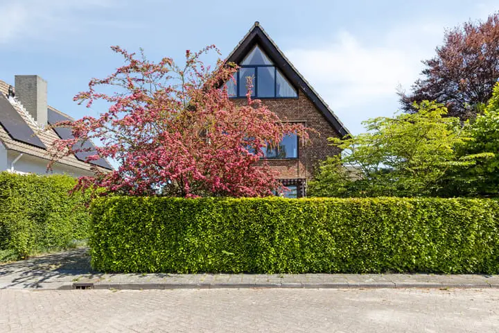Foto Akkermuntstraat 19 Bergeijk