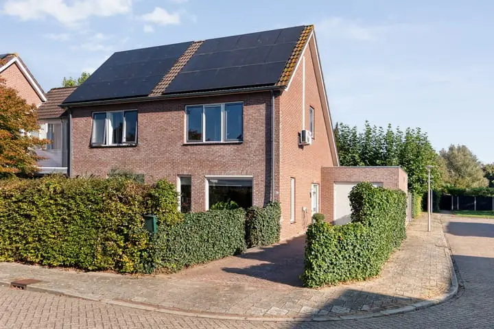 Foto Watersnip 2 Ommen