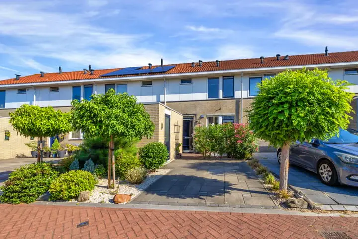 Foto Koolzaadakker 27 Schiedam