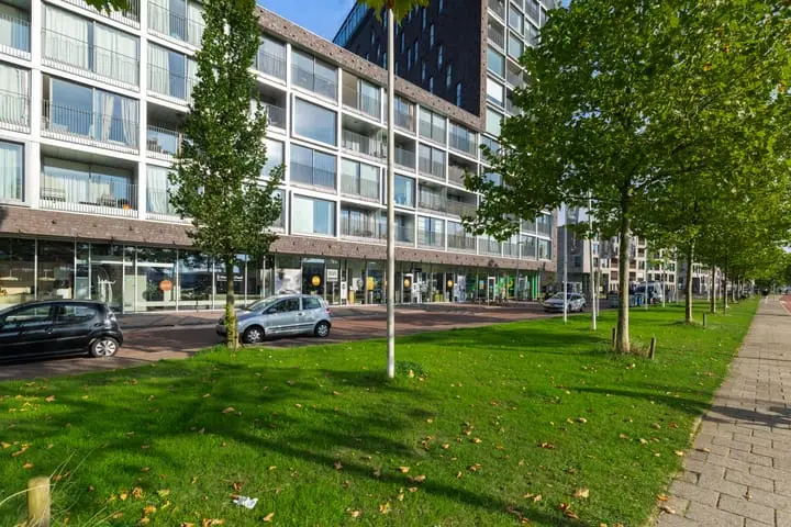 Foto Het Hout 141 Groningen