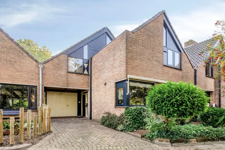 Foto Lijster 40 Ridderkerk