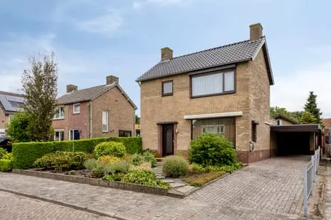 Foto Gele Helmbloem 6 4635BK Huijbergen