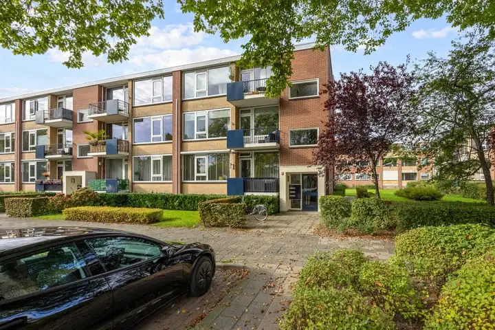 Foto Helperzoom 369 Groningen
