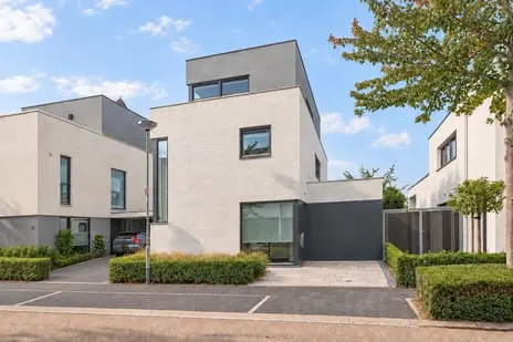 Foto Gele Helmbloem 20 6245TE Eijsden