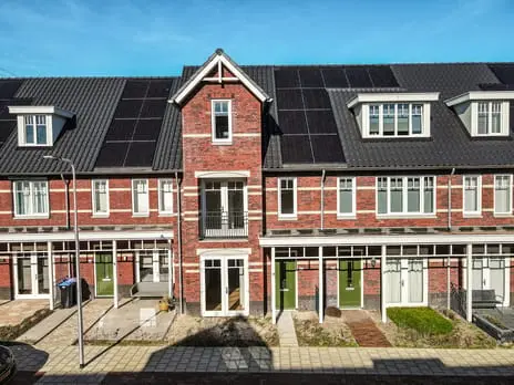 Foto Koolrabi 63 2394KK Hazerswoude-Rijndijk