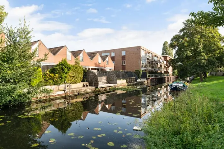 Foto Anemoon 5 Naaldwijk