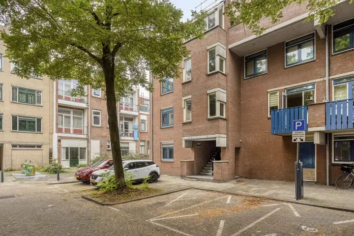 Foto Sara Cornelia Molen 10 Rotterdam