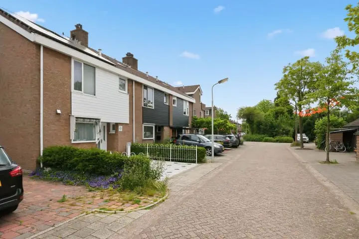 Foto Papiermolen 5 Koog aan de Zaan